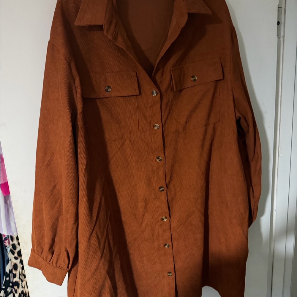 Entro Rust Button Down Shirt
